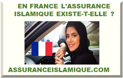 EN FRANCE L'ASSURANCE ISLAMIQUE EXISTE-T-ELLE ?