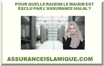 POUR QUELLE RAISON LE MAISIR EST EXCLU PAR L'ASSURANCE HALAL ?