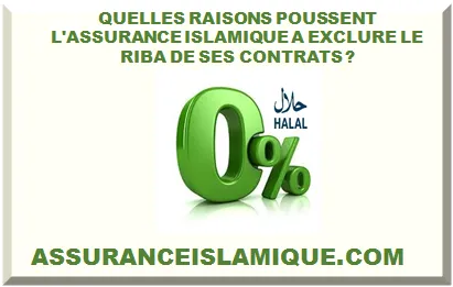 QUELLES RAISONS POUSSENT L'ASSURANCE ISLAMIQUE A EXCLURE LE RIBA DE SES CONTRATS ?